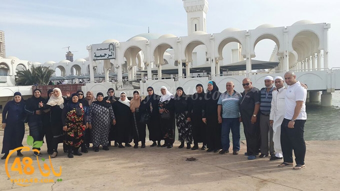 zibda yaffa jadda (14).jpg